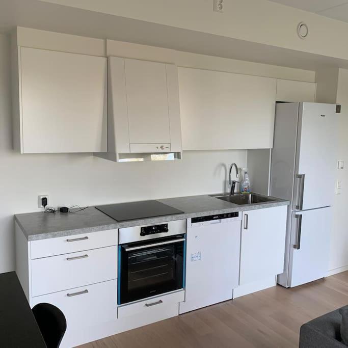 Scandpoint Apartment Fornebu Near Sea Front With Outdoor Walk! Stabekk المظهر الخارجي الصورة